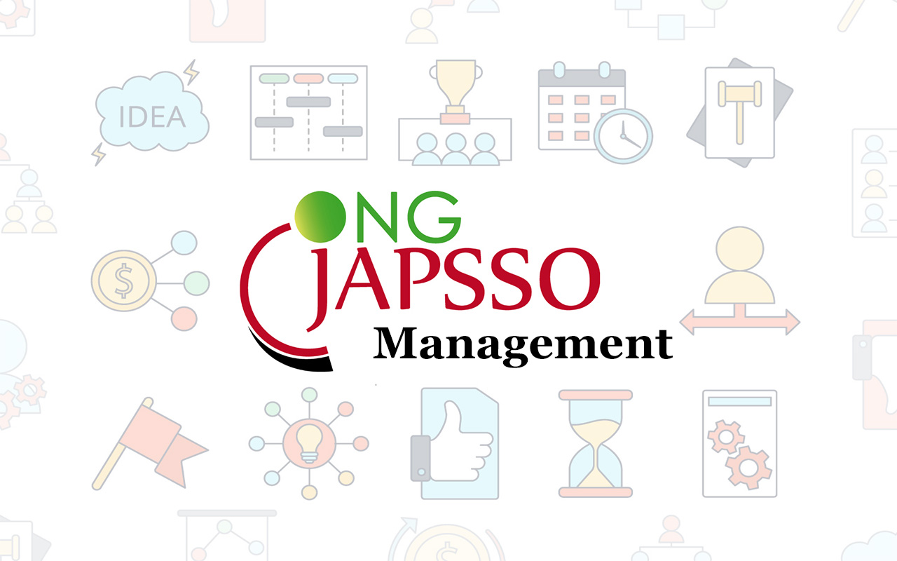 Utilisation de l'ERP JAPSSO